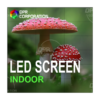 Ekran LED DРR P2 5 mm KL (indoor) 1m²